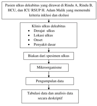 Gambar 3.1 Kerangka Operasional 