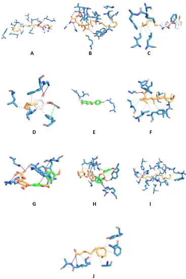Gambar 1. Konformasi hasil molecular docking ligan native L1-1u6s (A), ligan native L1-2x22 (B), ligan native L2-1u6s  (C), ligan native L2-2x22 (D), kaempherol-1u6s (E), mairin-2x22 (F), mol001797-1u6s (G), neohesperidin-2x22 (H), EIC-1u6s (I), Zoomaric acid-2x22 (J) 