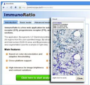 Gambar 1. Tampilan ImmunoRatio Secara OnLine 