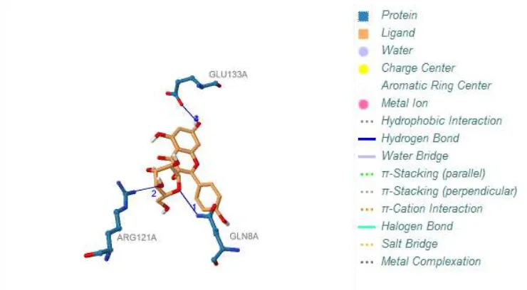 Gambar 5.Visualisasi interaksi antara senyawa turunan adas bintang (MOL000561)  dengan protein 4KL9 dengan PLIP 