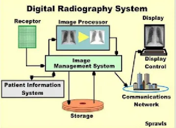 Gambar 2.3 Prinsip kerja digital Radiografi 