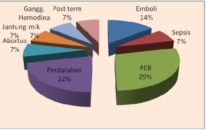 Gambar 5. Proporsi kematian ibu berdasarkan penyebab kematian Kota  Mataram Tahun 2013 