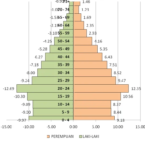 Grafik 1. Komposisi Penduduk Menurut Umur dan Jenis Kelamin  Kota Mataram Tahun 2013 