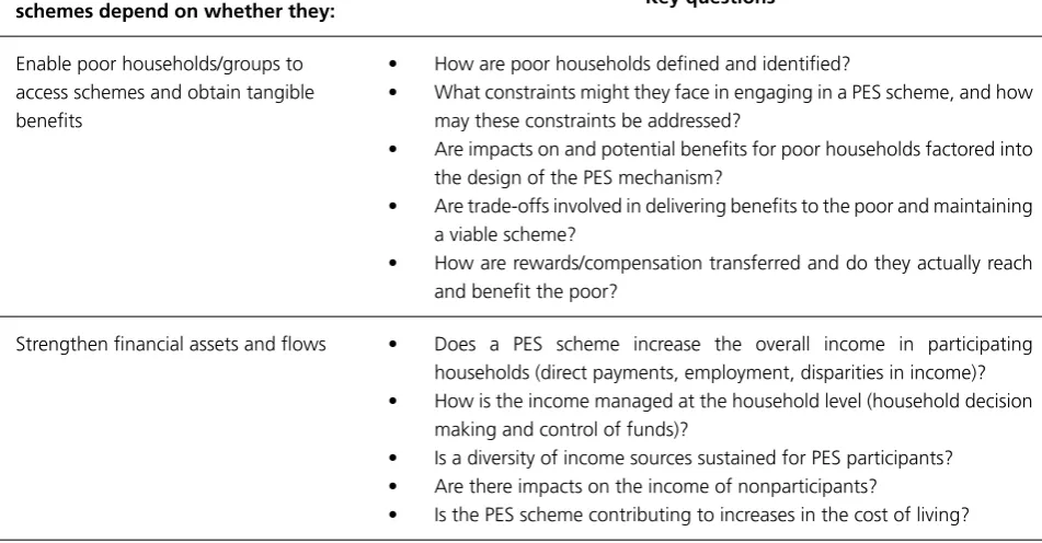 Table 1: Key questions in examining the poverty reduction potential of PES
