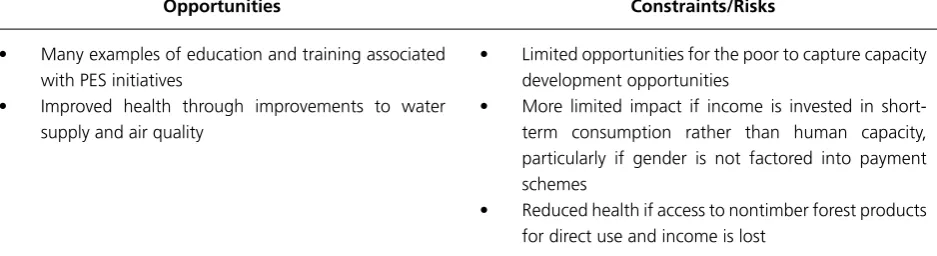 Table 4: Summary of opportunities, constraints, and risks related to human assets