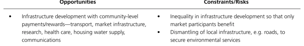 Table 7: Summary of opportunities, constraints, and risks associated with physical assets