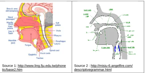 Figure 2 shows the samples of  cross-sectional diagrams of the organs  of speech found on the Internet