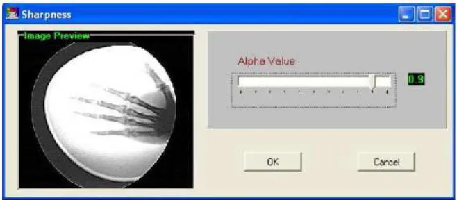Gambar 3. Tampilan form brightness dari bagian main menu processing