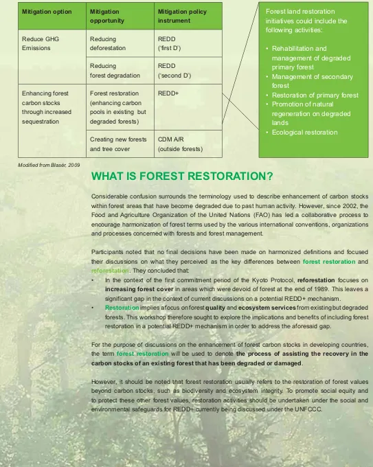 Figure 1: Forest Management Strategies for Climate Change Mitigation