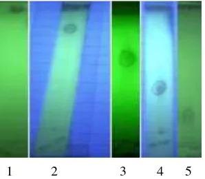 Gambar 1  Profil kromatogram ekstrak n-butanol daun binahong 