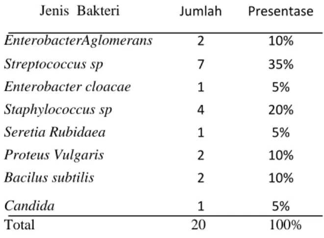 Tabel 1 menunjukkan hasil biakan  bakteri pada pasien dengan diagnosis Otitis  Media Supuratif Akut di Poliklinik THT –  KL RSUP