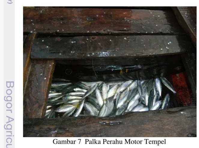 Gambar 7  Palka Perahu Motor Tempel 