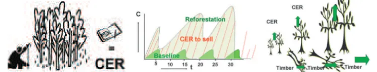 Figure 4-6. Picture shows the timing of product sale by smallholder; CER sale canbe timed in between timber sale