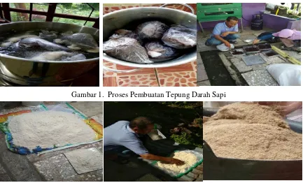 Gambar 1.  Proses Pembuatan Tepung Darah Sapi 