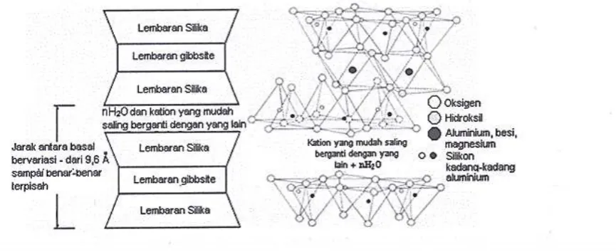 Gambar 2.10 Struktur Montmorillonite (Das, 2008) 