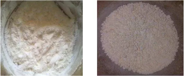 Gambar 1  Pati jagung (kiri) dan pati jagung terfosforilasi (kanan) 