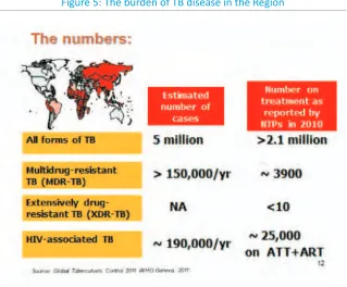 Figure 5: The burden of TB disease in the Region