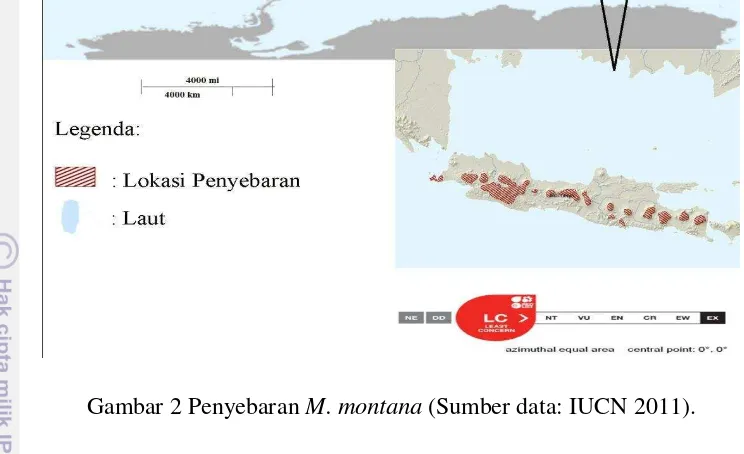 Gambar 2 Penyebaran M. montana (Sumber data: IUCN 2011). 