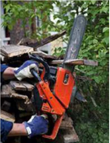 Figure 11. Top-handled chainsaws