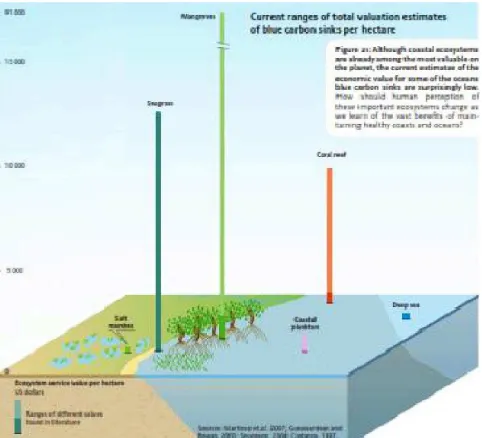 Gambar 3. Estimasi perbandingan penyerapan karbon oleh terumbu karang, mangrove, lamun danrawa-rawa air laut  (sumber : Nellemann et al., 2009)