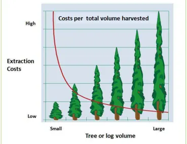 Figure 16. Hypothetical stem section weights over the diameter distribution in a single species plantation 