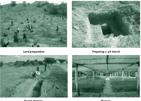 Figure 6. Rejuvenating the dry zone through land rehabilitation 
