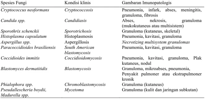 Tabel 2.  Penyebab dan gambaran imunopatologis dari mikosis granulomatosa (Zumla &amp; James, 1996).