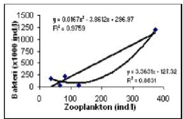 Gambar 4.  Pola Hubungan antara Kelimpahan  Zooplankton dan Kelimpahan Bakteri Heterotrofik  