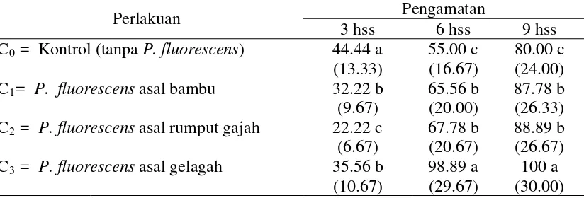 Tabel 3 : Persentase perkecambahan benih cabai 