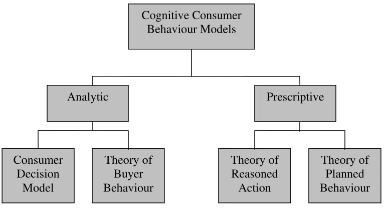 Figure 1.2:  Cognitive Consumer Behaviour Models 