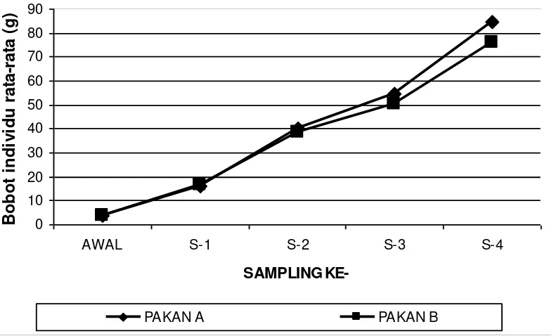 Tabel 2. Laju pertumbuhan spesifik (%), pertambahan bobot rata-rata individu (g) dan bobot akhir (g) ikan baung selama pemeliharaan 4 bulan 