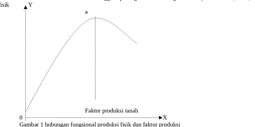 Gambar 1 hubungan fungsional produksi fisik dan faktor produksi