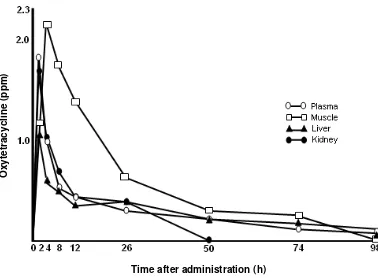 Fig. 4.  Channges in the concentration of oxytetracycline in the tissues of yellowtail after oral administration at a dose of 50 mg/kg-body weight 