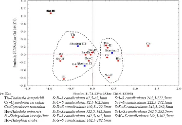 Gambar 4. Grafik Analisis Faktorial Koresponden antara kelompok ukuran ikan beronang dan kerapatan serta penutupan jenis lamun pada sumbu faktorial 1 dan 2 