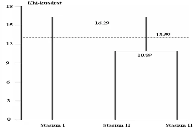 Gambar 5. Dendrogram klasifikasi hierarki stasiun pengamatan berdasarkan kerapatan lamun dan kelompok ukuran ikan di lokasi penelitian  