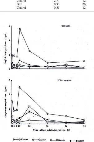 Fig. 1. Changes in the concentration of oxytetracycline in the tissues of control and PCB-trated carp, after oral administration at a dose of 50 mg/kg body weight 