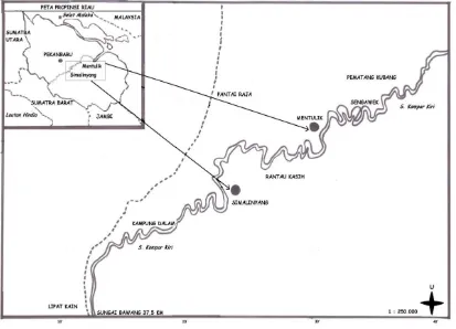 Gambar 1. Lokasi penelitian di rawa banjiran Sungai Kampar Kiri 