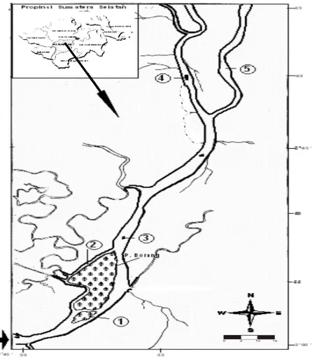 Gambar 1.  Peta lokasi penelitian di Sungai Musi, Sumatra Selatan. 1 = Pulau Banjar, 2 = Sungai Borang,   3 = Pulau Burung, 4 = Pulau Gundul, 5 = Sungai Upang 