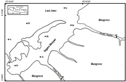 Gambar 1. Lokasi penelitian di estuari Mayangan, Jawa Barat Ket.: 1= pantai terbuka, 2= muara sungai, 3= alur sungai berhutan mangrove