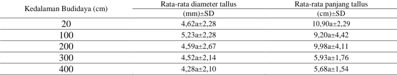 Tabel  2.  Rata-rata  diameter  dan  panjang  tallus  rumput  laut  K.  alvarezii  setiap  kedalaman  budi  daya  berbeda 