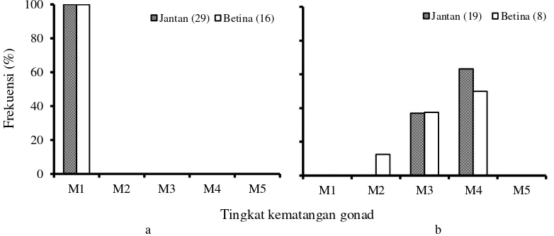 Gambar 2.  Tingkat kematangan gonad (TKG) ikan banyar (Rastrelliger kanagurta) jantan dan betina pada bulan Maret 2009 perairan Banda Aceh (a), perairan timur laut Sabang (b) Keterangan: M1= dara; M2= berkembang; M3= pematangan; M4= matang; M5= salin 