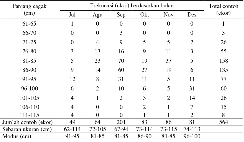Tabel 1. Distribusi ukuran panjang cagak (fork length-FL) ikan tuna matabesar (Thunnus obesus) yang                tertangkap pancing ulur di perairan Maluku bulan Juli-Desember 2009 