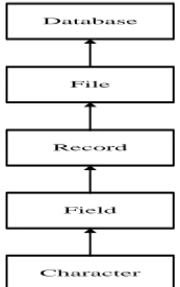 Gambar 4 : Jenjang atau Urutan Database 
