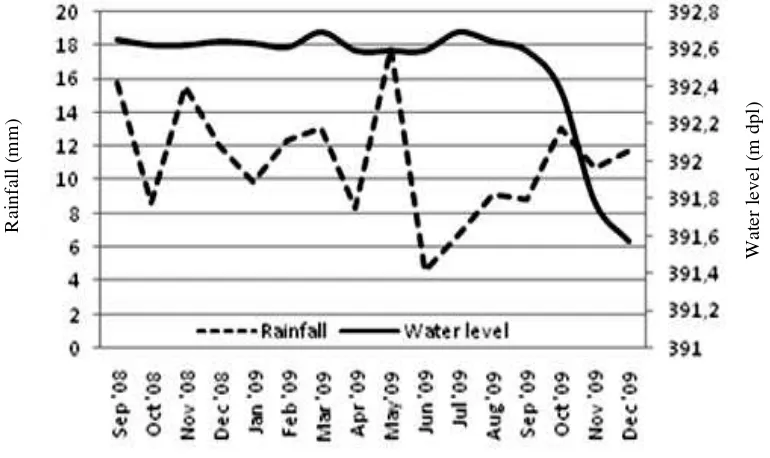 Figure 3. Water level and rainfall in Lake Matano 
