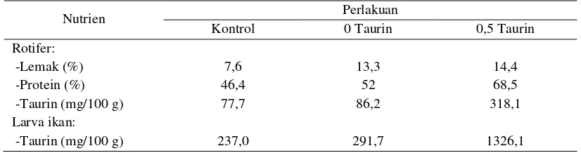 Tabel 3. Kandungan lemak, protein dan taurin rotifera, serta kandungan taurin pada larva ikan (bobot kering) 