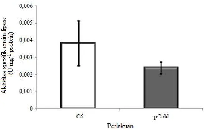 Gambar 5.  Aktivitas spesifik enzim lipase ikan gurame yang direndam denganhormon pertumbuhan rekombinan ikan mas (rCcGH) dan kontrol pCold  C6:kejutan salinitas + 0,01% BSA + 30 mg ml-1 rCcGH; pCold:kejutan salinitas + 0,01% BSA + 0 mg ml-1 rCcGH