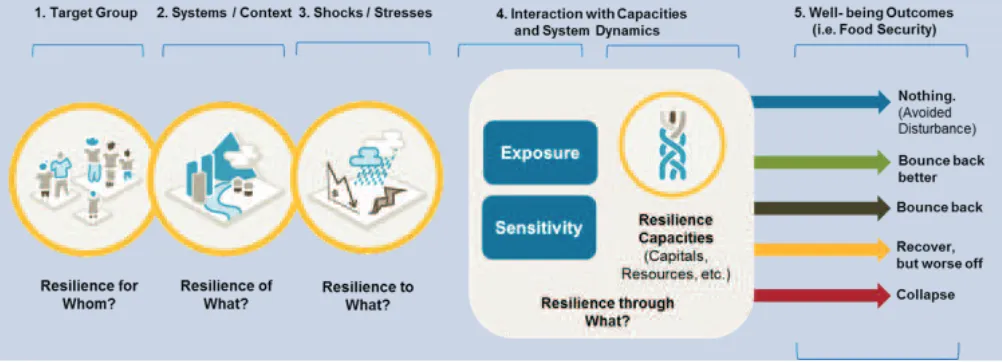 Figure 3: Mercy Corps' Resilience Framework