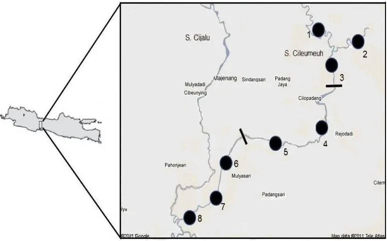 Figure 1.  Sampling sites across Cileumeuh River (108o 04’ and 109o30’, 7o03’ and 7o52’)    Remarks:  1-8 = sampling site numbers = border among upper, middle and lower parts 