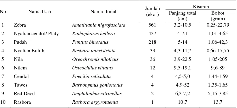 Tabel 2. Komposisi hasil tangkapan ikan selama penelitian di Danau Beratan 