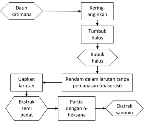 Gambar 2.11. Tahap pembuatan ekstrak saponin daun katimaha  